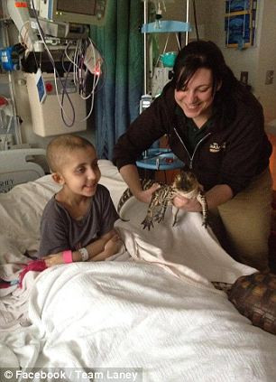 Laney đã trải qua 5 lần điều trị bức xạ và ghép tế bào gốc. Nhưng bác sĩ nói em chỉ còn sống thêm được vài ngày.