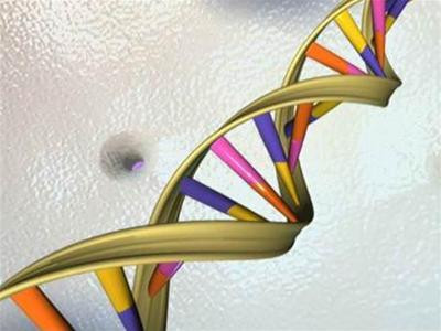 Dù di truyền đóng vai trò quan trọng, nhưng không có nghĩa bạn sẽ mắc bệnh chỉ vì lịch sử gia đình. Chỉ khoảng 20-30% phụ nữ mắc bệnh do gen di truyền.