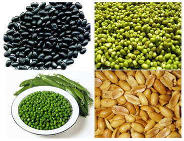 Ăn nhiều các loại đậu đỗ sẽ tạo hơi trong dạ dày.