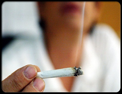 3. Hút cần sa không làm tăng nguy cơ ung thư phổi: Cần sa cũng chứa các chất gây ung thư mà bạn sẽ tìm thấy trong thuốc lá.