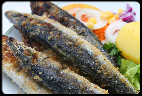 Sữa và sản phẩm từ sữa không phải là cách duy nhất để có được canxi. Cá mòi là nguồn canxi tuyệt vời. Ăn khoảng 90 gam cá mòi đóng hộp cung cấp canxi nhiều hơn so với một ly sữa.