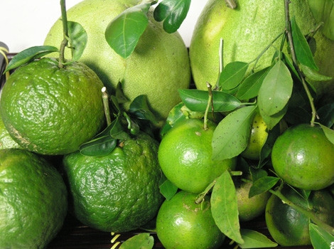 Cam, bưởi, bông cải xanh đều có hàm lượng vitamin C cao, ngăn cản sự hình thành các hợp chất nitơ gây ung thư. Các thực phẩm này làm giảm nguy cơ thực quản, bàng quang, ung thư vú, ung thư cổ tử cung, dạ dày và ung thư đại tràng. Nên bổ sung các loại rau củ vào bữa ăn hàng ngày.