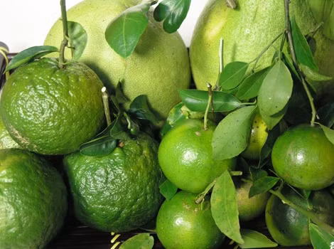 Cam, bưởi, bông cải xanh đều có hàm lượng vitamin C cao, ngăn cản sự hình thành các hợp chất nitơ gây ung thư. Các thực phẩm này làm giảm nguy cơ thực quản, bàng quang, ung thư vú, ung thư cổ tử cung, dạ dày và ung thư đại tràng. Nên bổ sung các loại rau củ vào bữa ăn hàng ngày.