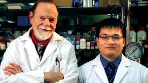 Cùng với đồng nghiệp của mình, Hui Huang, các nhà khoa học đã dành 6 năm nghiên cứu kỹ thuật hạt nano với lõi sắt và một vỏ tương thích sinh học. Điều này giúp tiêm sắt vào mạch máu mà không có tác dụng phụ.