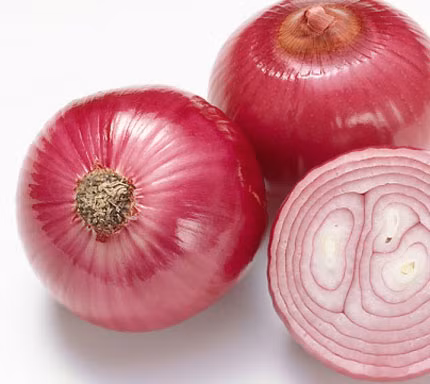 Hành tây tiếng Latin nghĩa là "ngọc trai lớn". Một giỏ hành được coi là lời đề nghị đáng kính trong tang lễ ở Ai Cập cổ đại, chỉ đứng sau giỏ bánh.