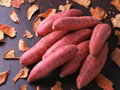 Khoai lang có đầy đủ các chất beta carotene. Các nghiên cứu ở phụ nữ tiền mãn kinh đã cho thấy tiêu thụ thực phẩm chứa beta carotene cao làm giảm nguy cơ ung thư đại tràng, vú, dạ dày và ung thư phổi xuống còn một nửa.