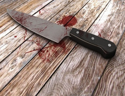 10. Ngày 30/10/2012, Elzbieta Plackowska trông con gái của người bạn thân, Olivia 5 tuổi cùng con trai mình, Justin 7 tuổi. Đêm đó, Elzbieta đã dùng dao đâm liên tiếp Justin 100 lần, và Olivia 50 lần.