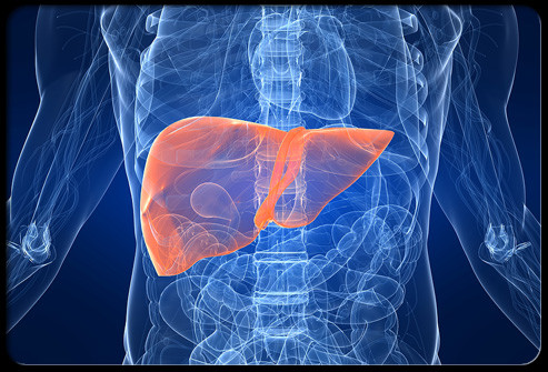  Xơ gan. Rượu độc hại với các tế bào gan, và nhiều người nghiện rượu nặng phát triển xơ gan, một tình trạng đôi khi gây chết người do gan không thể hoạt động.