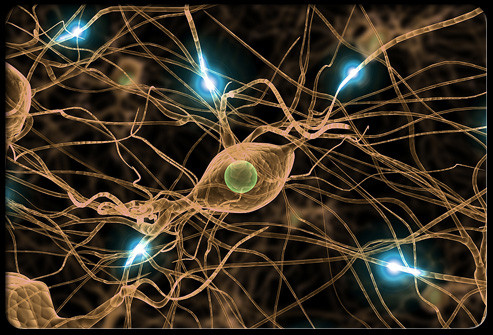  Bệnh thần kinh. Uống nhiều rượu có thể gây ra một dạng tổn thương thần kinh như tiểu không tự chủ, táo bón, rối loạn chức năng cương dương, và các vấn đề khác.