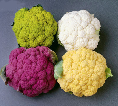 Các loại rau họ cải như súp lơ trắng, bông cải xanh... đều có hàm lượng vitamin C cao, ngăn cản sự hình thành các hợp chất nitơ gây ung thư, làm giảm nguy cơ thực quản, bàng quang, ung thư vú, ung thư cổ tử cung, dạ dày và ung thư đại tràng.