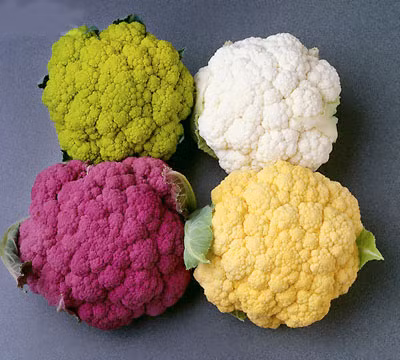 Các loại rau họ cải như súp lơ trắng, bông cải xanh... đều có hàm lượng vitamin C cao, ngăn cản sự hình thành các hợp chất nitơ gây ung thư, làm giảm nguy cơ thực quản, bàng quang, ung thư vú, ung thư cổ tử cung, dạ dày và ung thư đại tràng.