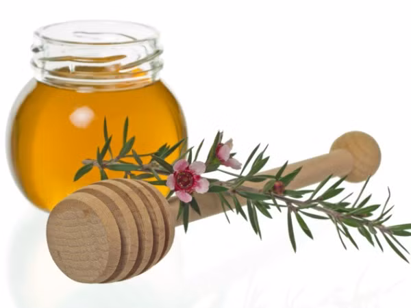 Tinh dầu cây trà. Đối với các bạn gái đang phải chiến đầu với da đầu khô và nhiều gàu, hãy sử dụng tinh dầu trà. Khi gội đầu, bạn hãy cho vài giọt tinh dầu trà lên tóc. Thường xuyên sử dụng tinh dầu trà, da đầu sẽ trở nên khỏe hơn và vấn nạn gàu sẽ dần được khắc phục.