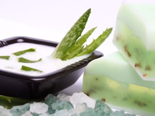 Tinh dầu lô hội. Chắc hẳn ai cũng đã biết hiệu quả dưỡng da của Lô hội là rất cao nhưng ngoài ra nó còn là một loại tinh dầu dùng để dưỡng tóc, chữa rụng tóc vô cùng tuyệt vời. Bạn hãy dùng chất gel có trong cây Lô hội thoa đều lên phần tóc mỏng, chờ trong 15p đến 30p kèm theo nằm thư giãn (mục đích là cho tinh dầu thấm vào da) sau đó gội sạch. Hiệu quả chỉ trong 1 tháng nếu bạn thực hiện thường xuyên.