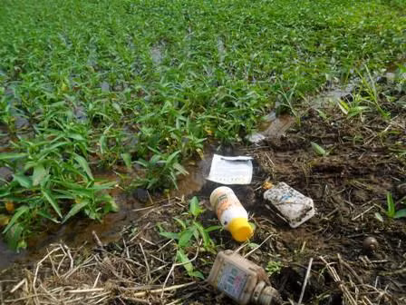 Bà bầu nhiễm thuốc trừ sâu: Năm 2007 các nhà nghiên cứu khoa sức khỏe cộng đồng California cho biết phụ nữ trong 8 tuần đầu thời kì mang thai sống gần nơi ruộng đồng nông trại có phun nhiều thuốc trừ sâu, thuốc diệt cỏ sâu bọ … thì có nguy cơ mắc bệnh tư kỉ cao hơn những nơi có môi trường trong lành, sạch sẽ.