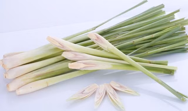 Củ sả. Một gốc sả chứa khoảng 99 calo, không có chất béo và cholesterol, khoảng 25 gram carbohydrate... Ăn sả hỗ trợ cho việc giảm béo của bạn bằng cách cắt giảm lượng calo trong các món ăn. Vị cay trong sả giúp đốt cháy các chất béo và không cho chúng tích lũy trong cơ thể. Bạn có thể tận dụng sả như một loại gia vị dùng tẩm ướt thịt, cá… trước khi nấu.