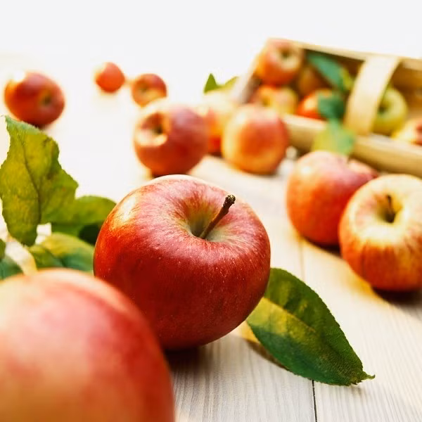 Táo là loại quả thích hợp cho bé bị tiêu chảy vì chúng chứa nhiều kali, giúp cơ thể nhanh hồi phục. Có thể hấp hoặc hầm nhừ táo để bé dễ tiêu hóa.