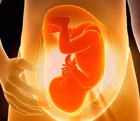 Hệ tiết niệu và thận của thai nhi không phát triển khỏe mạnh (hội chứng Potter) hoặc đường dẫn nước tiểu bị đóng, bé sẽ không thể duy trì cơ chế nuốt nước – đi tiểu như bình thường. Do đó bào thai sẽ nuốt nước ối vào nhưng lại không thải ra được. Kết quả là quá trình tái tạo nước ối bị gián đoạn. Dị tật tim thai nhi cũng gây nên tình trạng tương tự.