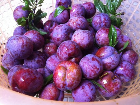 Quả mận: Mận chứa nhiều carotene khi vào cơ thể sẽ chuyển hóa thành vitamin A rất tốt cho mắt. Thêm vào đó, trong hạt mận cũng chứa nhiều chất dinh dưỡng cần thiết cho cơ thể như protein, chất béo, phốt pho, sắt, kali… có tác dụng thanh nhiệt giải độc. Tuy nhiên, không nên lạm dụng, ăn quá nhiều loại quả này bởi mận có tính nóng, ăn nhiều sẽ khiến cơ thể bị nóng trong có thể gây phát ban, mụn nhọt, nhất là đối với những người cơ địa có tính nhiệt.