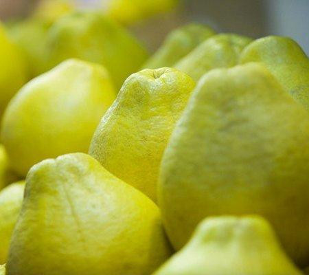 Còn gì tốt hơn bưởi. Trong bưởi rất giàu vitamin C, kiên trì uống nước ép bưởi pha mật ong sẽ giúp da bạn trắng sáng hơn, tác dụng còn hơn rất nhiều các loại mỹ phẩm đắt tiền. Bưởi có thể cắt đứt gốc rễ melanin, làm trắng lâu dài và bền vững hơn.