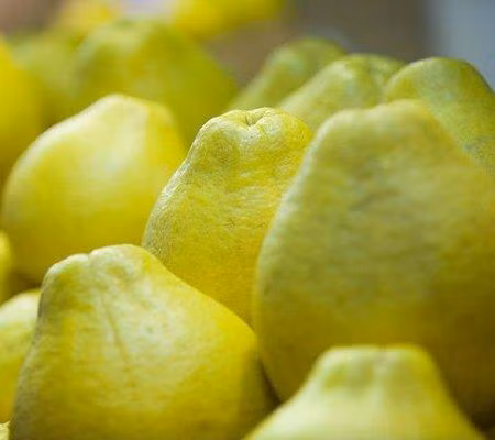 Còn gì tốt hơn bưởi. Trong bưởi rất giàu vitamin C, kiên trì uống nước ép bưởi pha mật ong sẽ giúp da bạn trắng sáng hơn, tác dụng còn hơn rất nhiều các loại mỹ phẩm đắt tiền. Bưởi có thể cắt đứt gốc rễ melanin, làm trắng lâu dài và bền vững hơn.