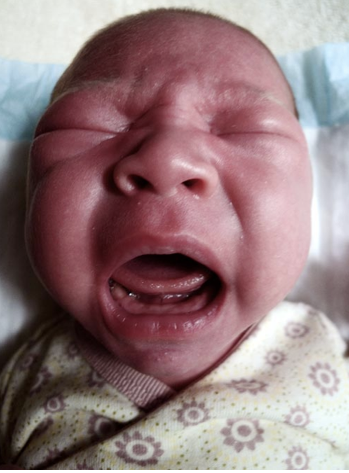 "Ngoài ra, giấc ngủ ngon lành vào đêm của tôi cũng bị hủy bỏ trong gần 3 năm. Nhiều ông bố đối phó với cơn ác mộng này bằng cách uống bia rượu, còn tôi là chụp hình Loulou lại. Mỗi khi có ai muốn xem ảnh con bé, tôi lại đem hình khi con khóc ra khoe".