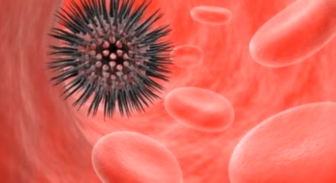 Có những loại thuốc rất độc bị các nước trên thế giới cấm sử dụng, với nồng độ thuốc rất cao cực kỳ nguy hiểm có thể gây ngộ độc cấp tính với liều lượng chất độc lớn, nếu liều lượng chất độc thấp hơn thì chất độc có thể tích lũy dần trong cơ thể và gây độc mạn tính, ung thư, sẩy thai...