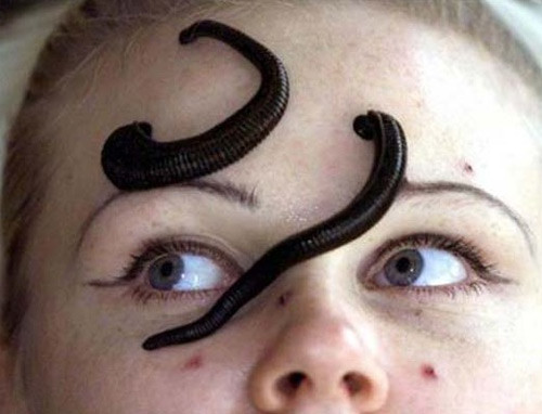 Bằng cách này, bên cạnh các độc tố trong cơ thể sẽ được hút bớt, loài đỉa còn tiết ra 1 loại enzym để lọc máu giúp da sáng bóng.