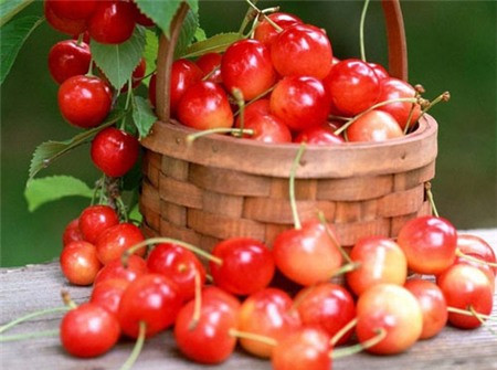 Rau và trái cây có vỏ màu đỏ. Các loại thực phẩm này có tác dụng kiềm chế sự tăng trưởng của các khối u, từ đó có tác dụng ngăn ngừa sự tăng trưởng của tế bào ung thư. Ngoài ra, ăn các loại rau, quả có vỏ màu đỏ như táo, ớt... có hiệu quả trong việc làm giảm các phản ứng để tạo estrogen trong cơ thể, tăng cường khả năng sinh sản. Vì vậy, bạn nên ăn các loại thực phẩm này thường xuyên.