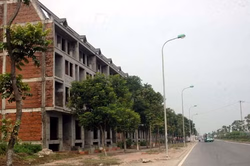 Khoảng không trước các ngôi biệt thự khá rộng và có cây xanh.