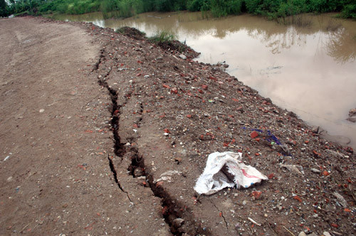 Bờ đê sông Cầu Ngà nhiều nơi bị rạn nứt.