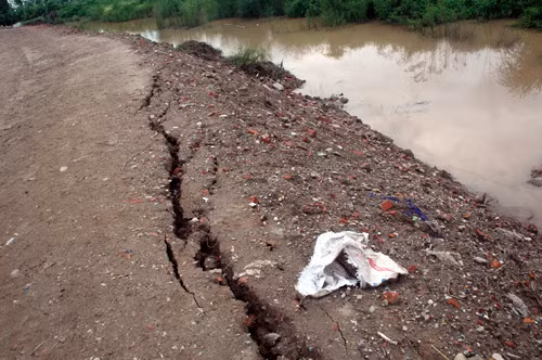 Bờ đê sông Cầu Ngà nhiều nơi bị rạn nứt.