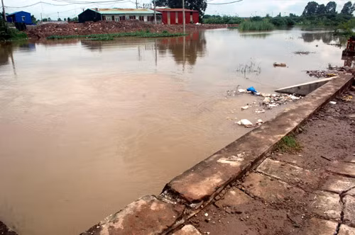 ... hoạt động hết công suất