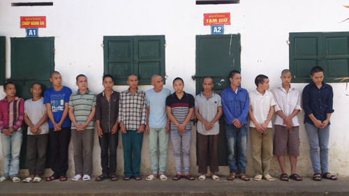 Băng nhóm trộm trâu bò do Ngần Văn Thuận cầm đầu bị triệt phá.