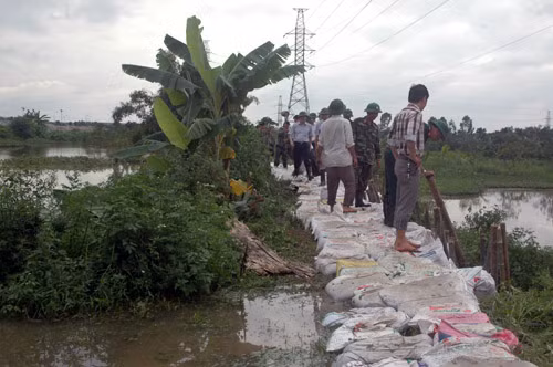 Các tuyến đê được gia cố.