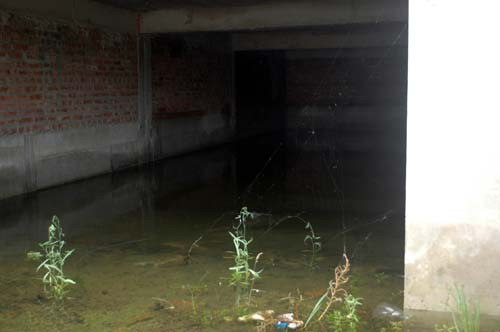 Mạng nhện giăng đầy trước lối vào căn biện thự.