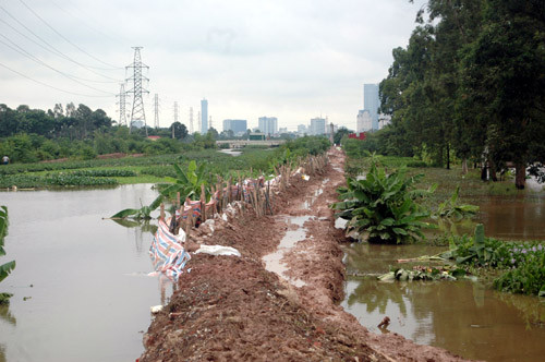 Đê sông Cầu Ngà được gia cố.
