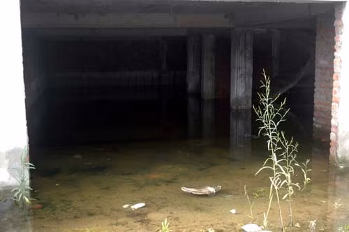 Nước ngập tứ phía.