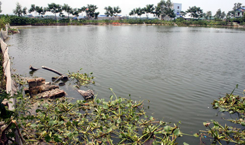 Khu vực phát hiện thi thể bé gái mới sinh tử vong.