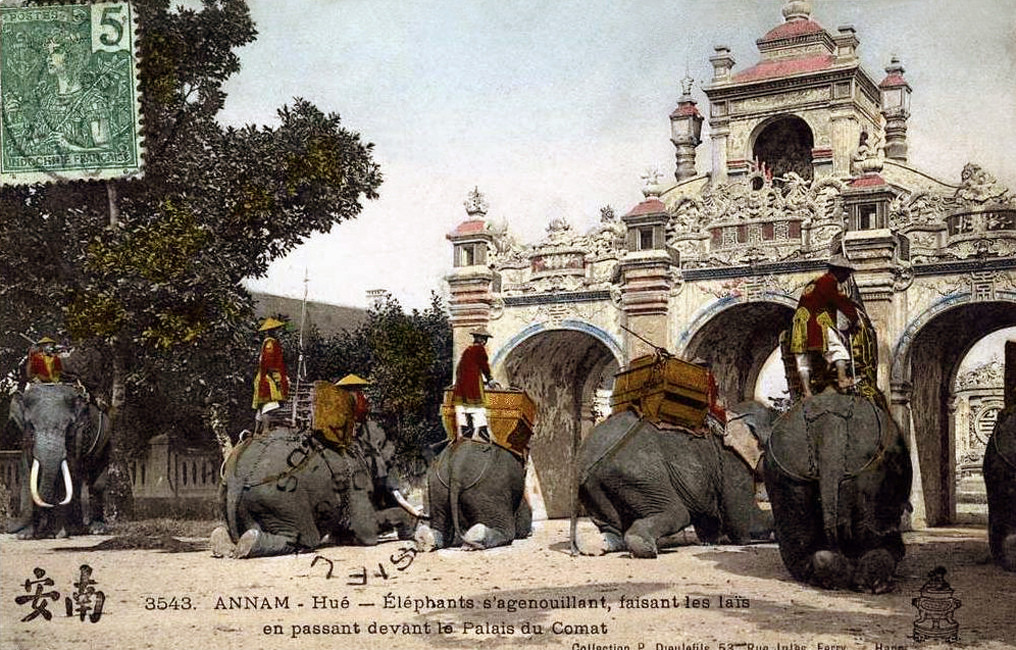 Voi chiến nhà Nguyễn bái lạy khi đi qua trước Viện Cơ Mật Huế. Ảnh tư liệu.