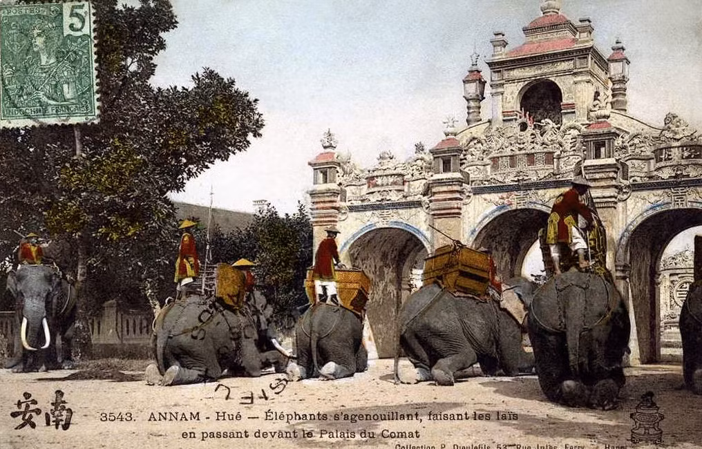 Voi chiến nhà Nguyễn bái lạy khi đi qua trước Viện Cơ Mật Huế. Ảnh tư liệu.