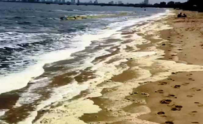 Biển Đà Nẵng bất ngờ đổi màu, bọt vàng ố - ảnh 3