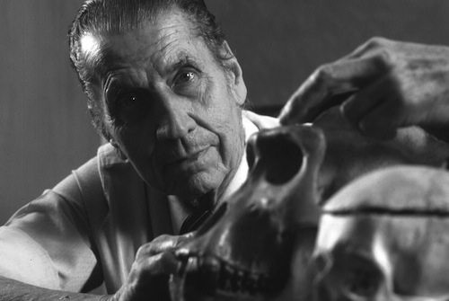 nhung thien tai co tinh cach gan do nhat the gioi hinh anh 3