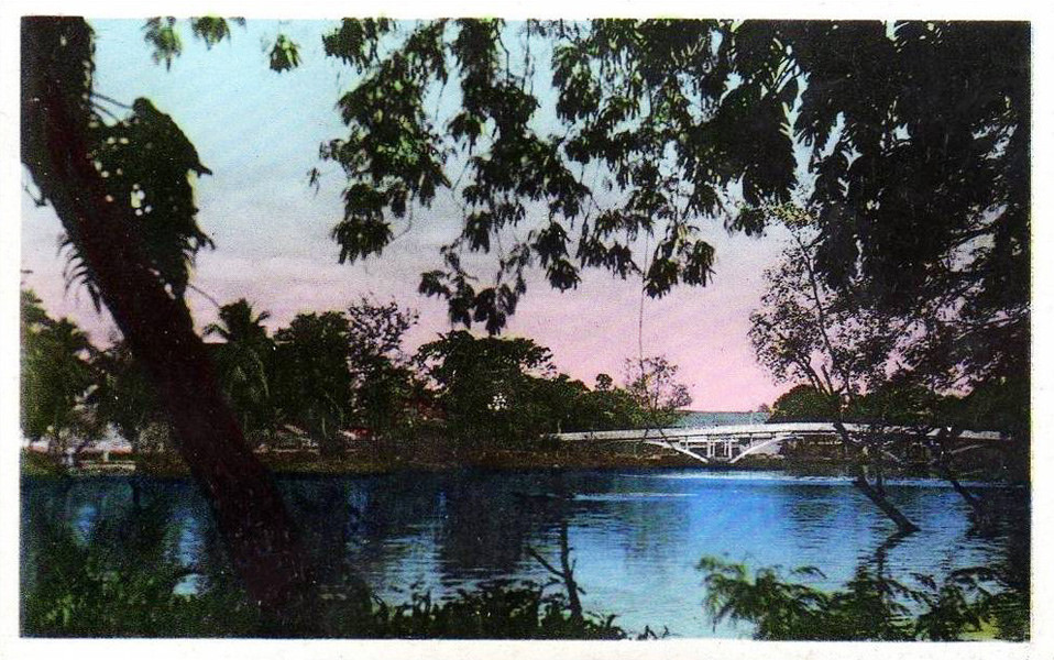 Do một đầu cầu nằm ở Thảo Cầm Viên nên cầu còn được người dân gọi là Cầu sở thú. Chức năng của cầu chủ yếu là để phục vụ người đi bộ. Ảnh tư liệu.