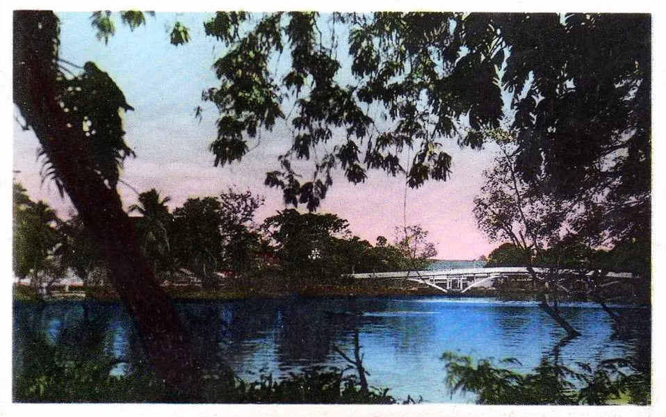 Do một đầu cầu nằm ở Thảo Cầm Viên nên cầu còn được người dân gọi là Cầu sở thú. Chức năng của cầu chủ yếu là để phục vụ người đi bộ. Ảnh tư liệu.