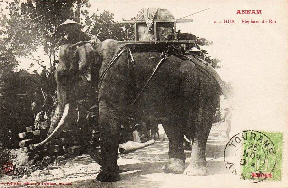 Một con voi hoàng gia phục vụ hoạt động xây dựng ở Huế. Ảnh tư liệu.