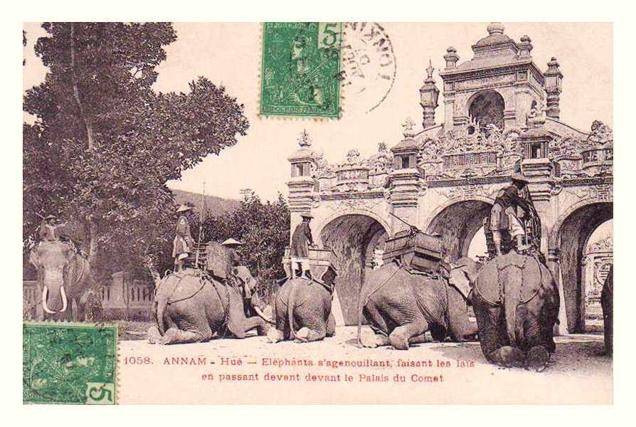 Voi chiến bái lạy khi đi qua trước Viện Cơ Mật. Ảnh tư liệu.