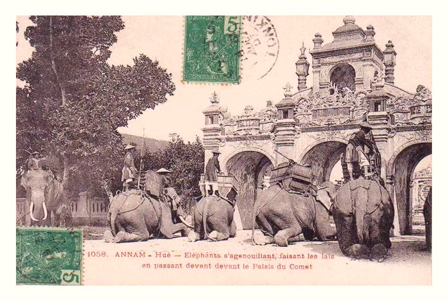 Voi chiến bái lạy khi đi qua trước Viện Cơ Mật. Ảnh tư liệu.