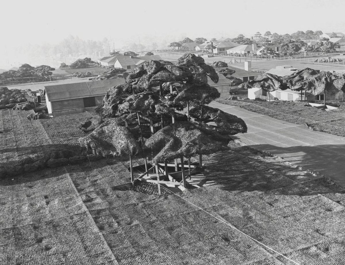 Cây cối làm bằng khung gỗ phủ lưới và lông gà nhuộm xanh. Ảnh: The Seattle Times.