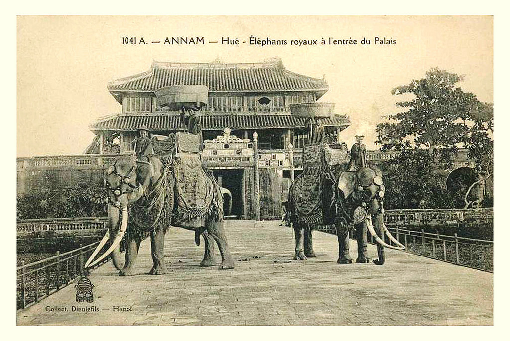Cặp voi chiến có cặp ngà dài tuyệt đẹp đứng trên cầu Trung Đạo, sau Ngọ Môn của Hoàng thành Huế. Ảnh tư liệu.