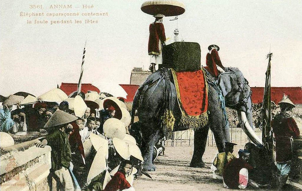 Voi có phủ vải trang trí đứng chặn đám đông trong dịp lễ hội. Ảnh tư liệu.